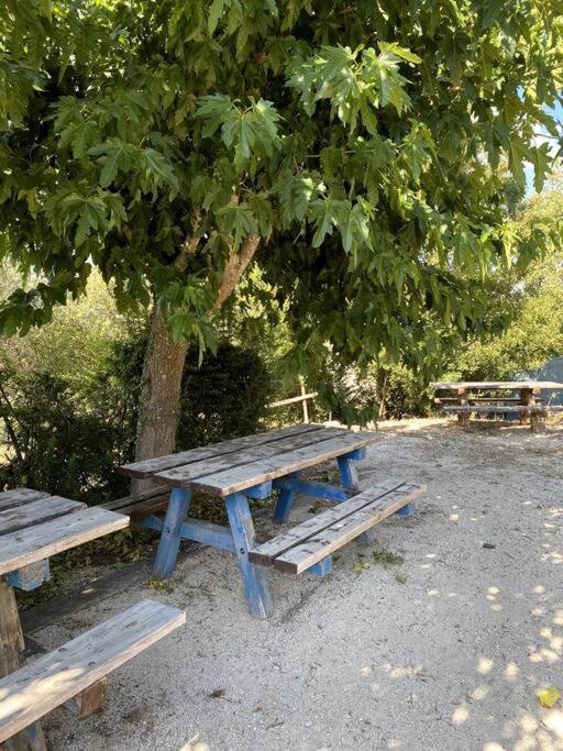 Villa La O'Liso Gorges De L'Ardeche Salavas Exterior foto